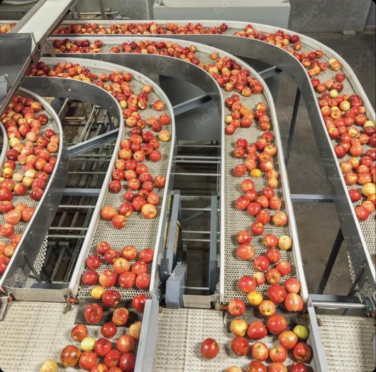 img-Primary food production